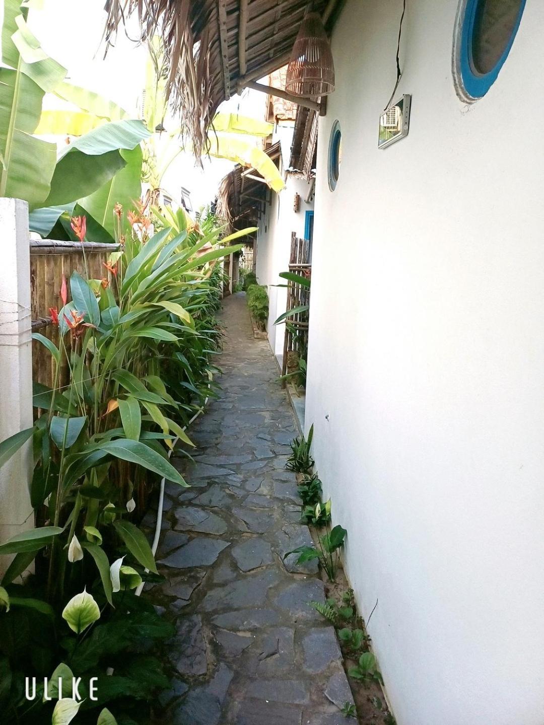Cashew Tree Bungalow Hội An Extérieur photo