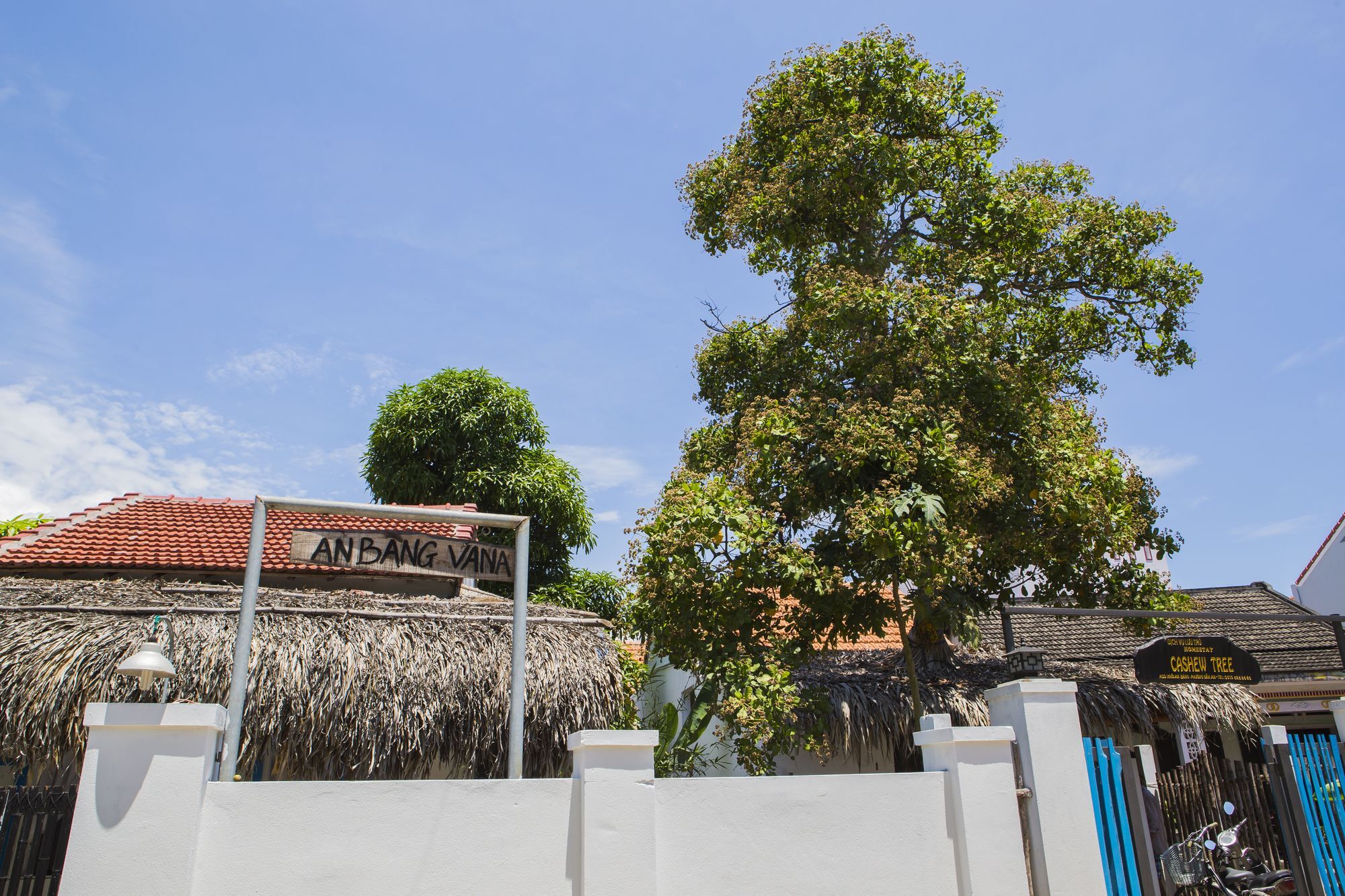 Cashew Tree Bungalow Hội An Extérieur photo