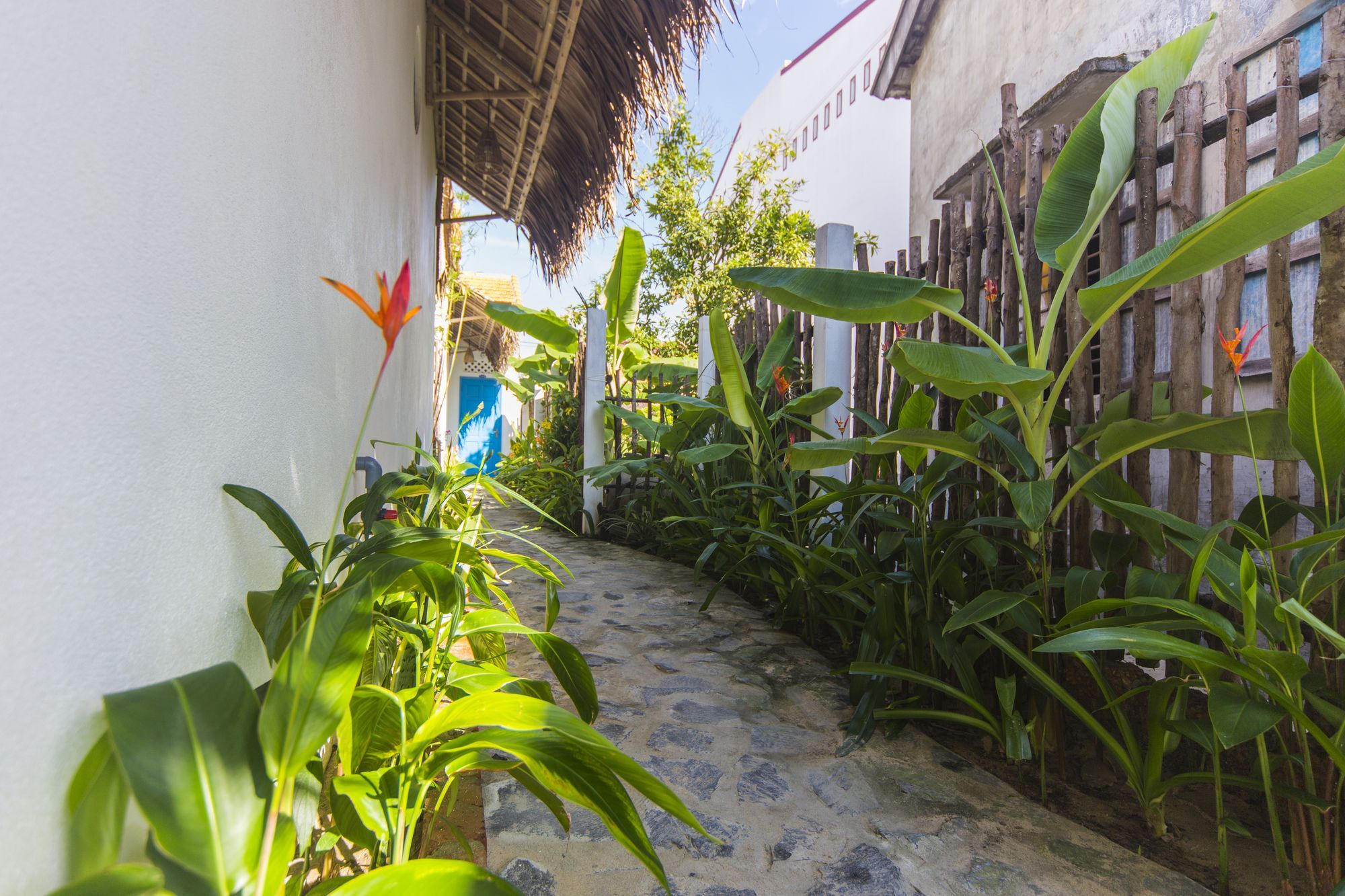 Cashew Tree Bungalow Hội An Extérieur photo