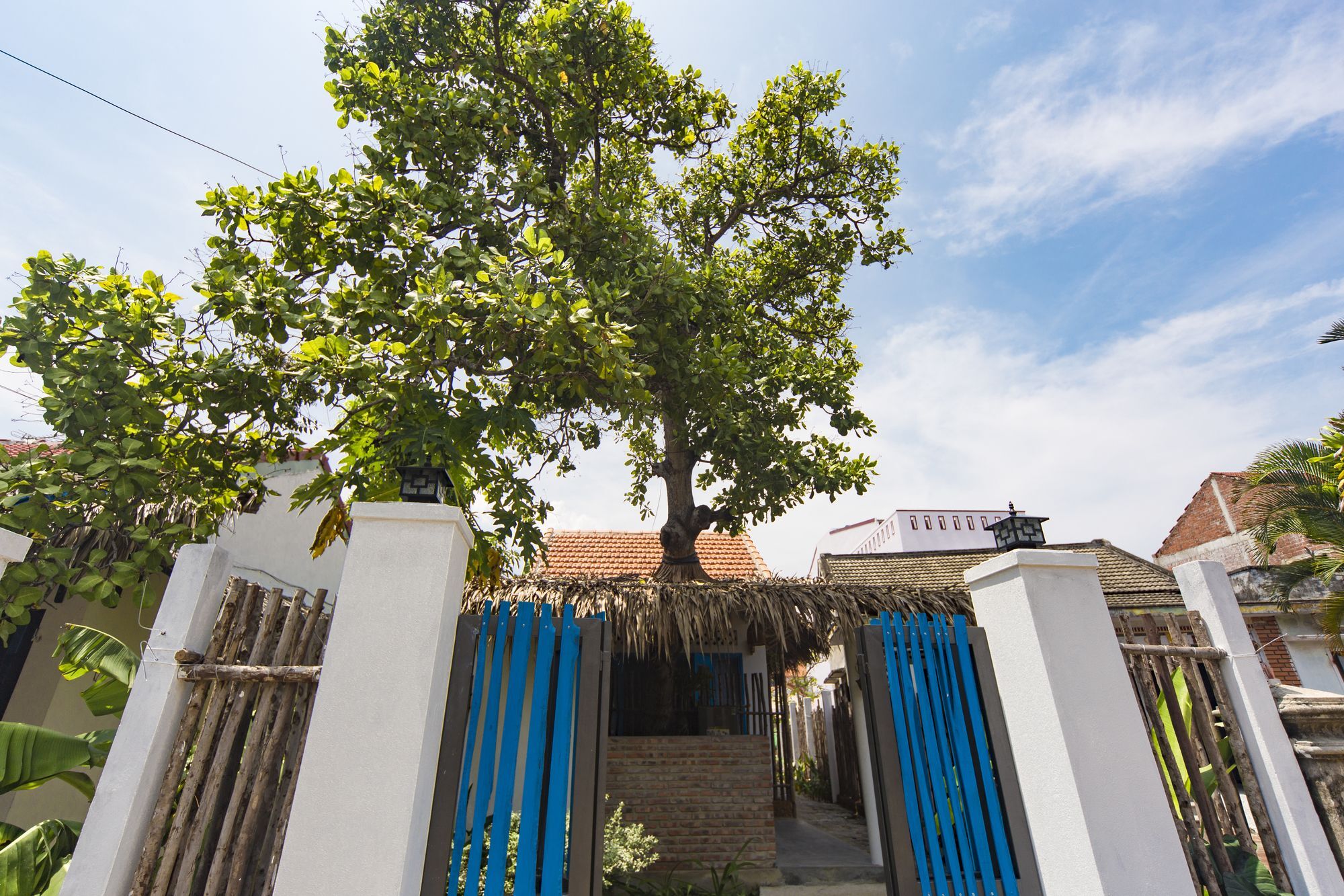 Cashew Tree Bungalow Hội An Extérieur photo
